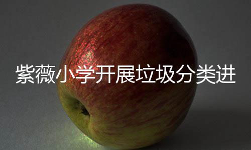 园活动进校开展分类小学紫薇垃圾